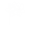 Florøst - Startside